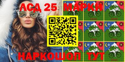 индика Усть-Илимск