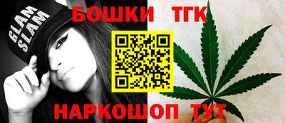 индика Усть-Илимск