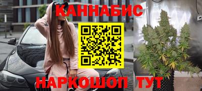 индика Усть-Илимск