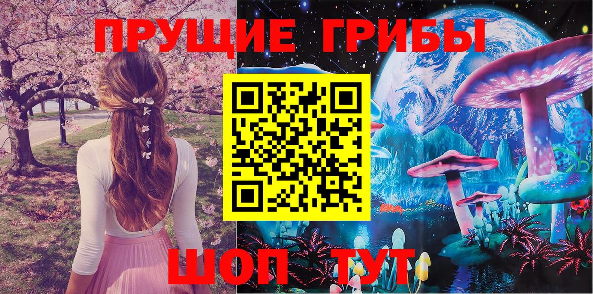 Псилоцибиновые грибы Psilocybine cubensis  Вход с VPN  Щёлково  Галлюциногенные грибы Cubensis 